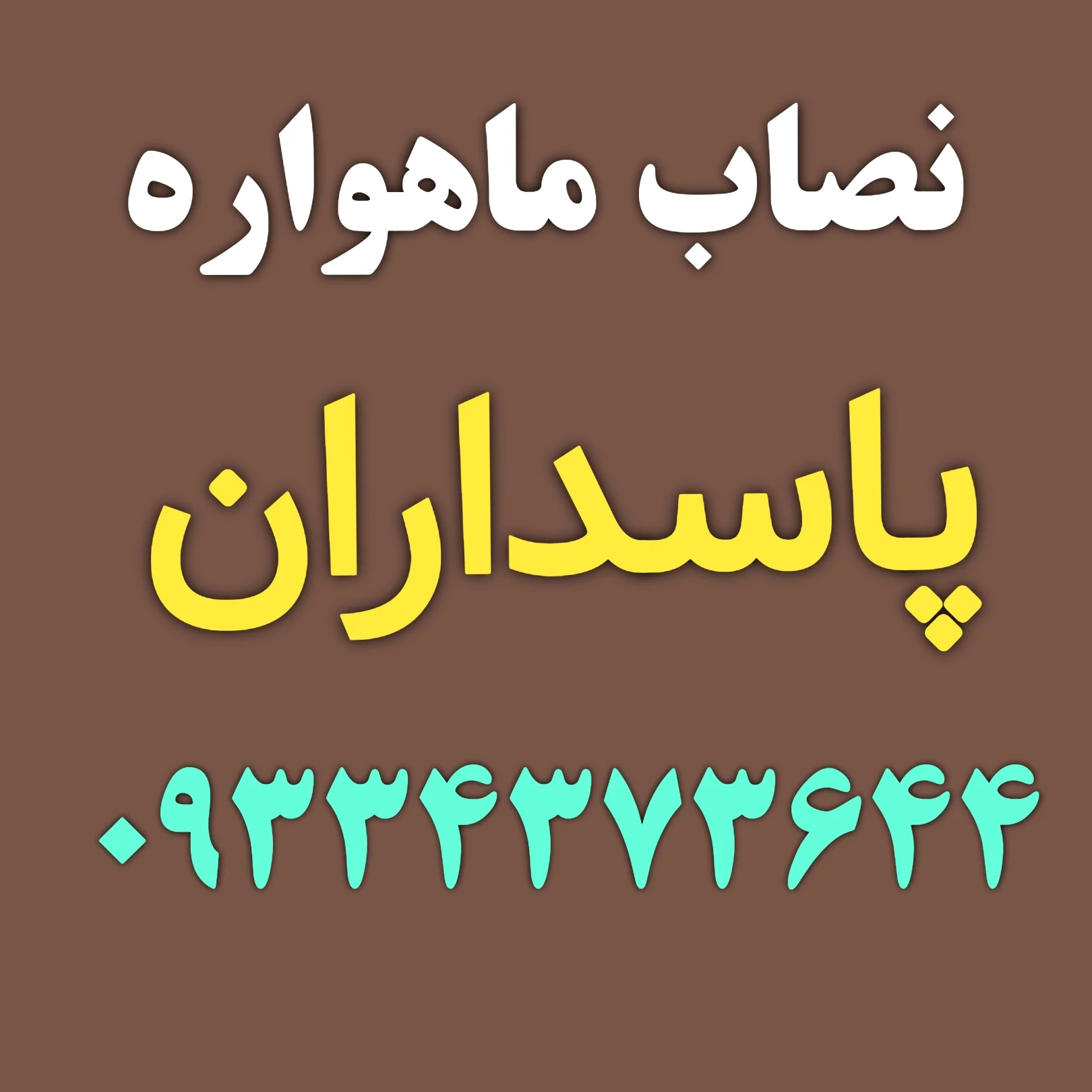 نصاب ماهواره در پاسداران